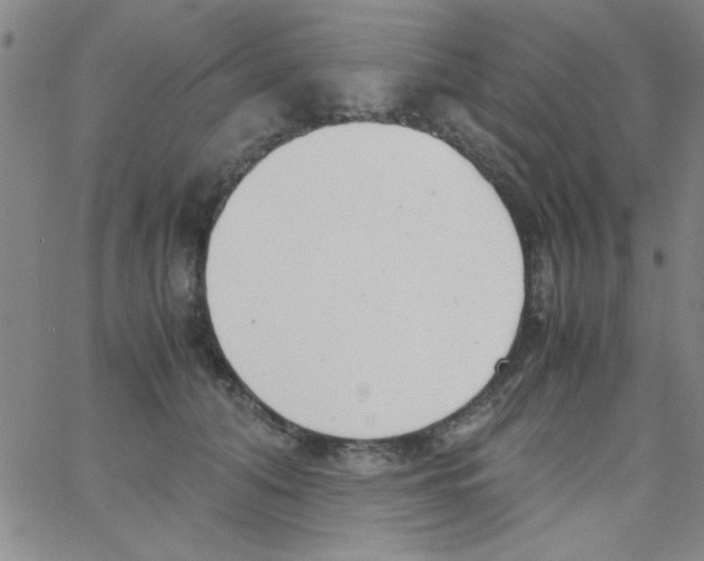 X0000062930608200602101924