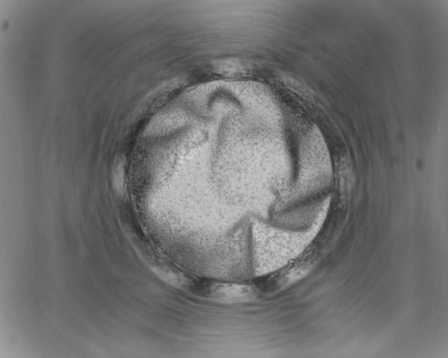 X0000062930611200602101924