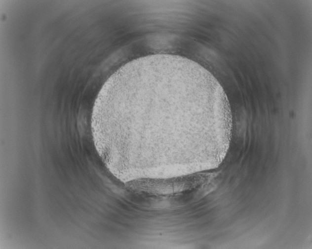 X0000062930618200602101923