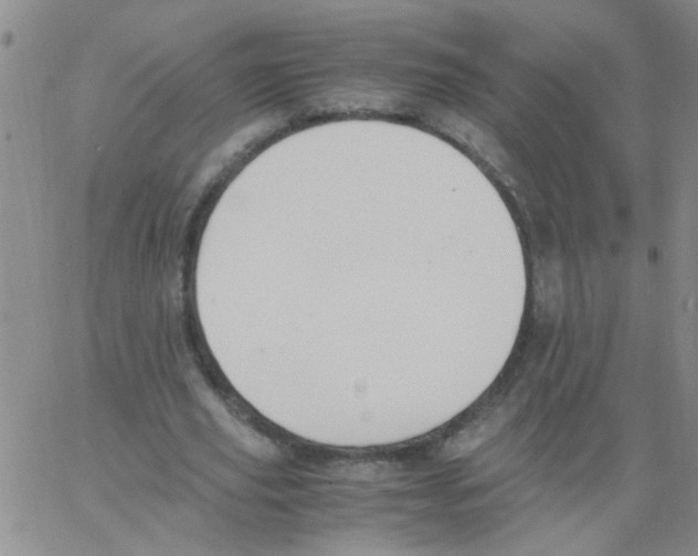 X0000062930629200602101923