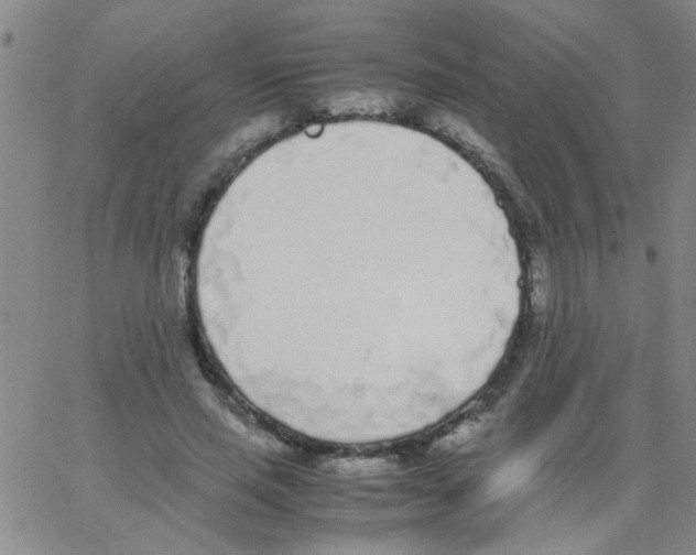 X0000062930637200602101923