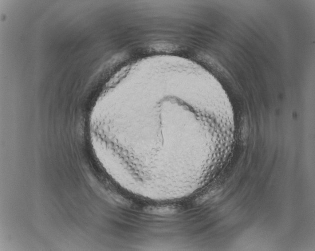 X0000062930639200602101923