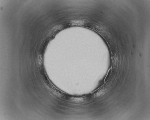 X0000062930649200602101923