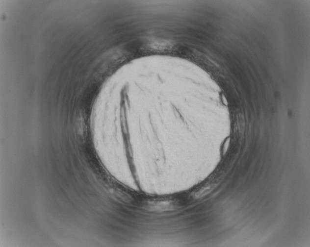 X0000062930651200602101923