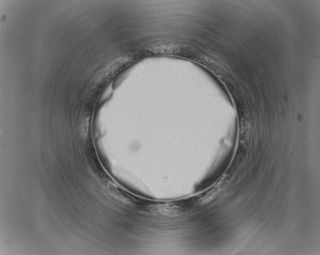 X0000062930652200602101923
