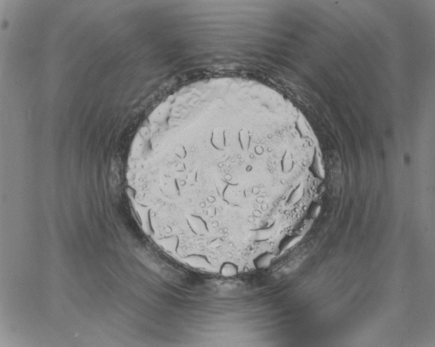X0000062930654200602101923