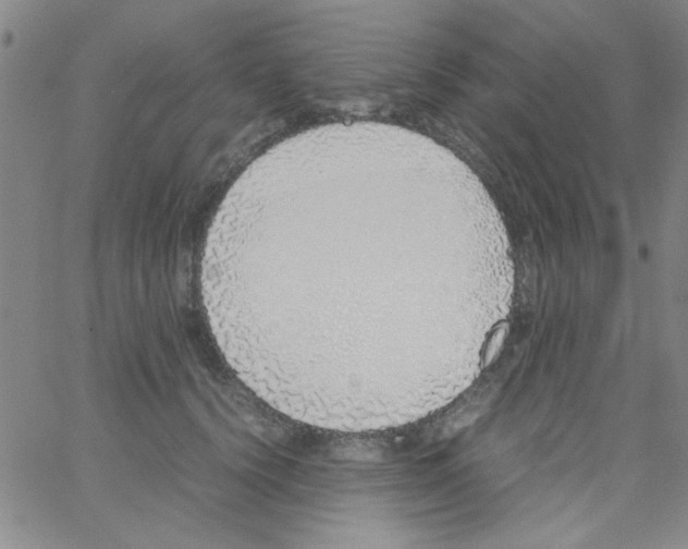 X0000062930656200602101923