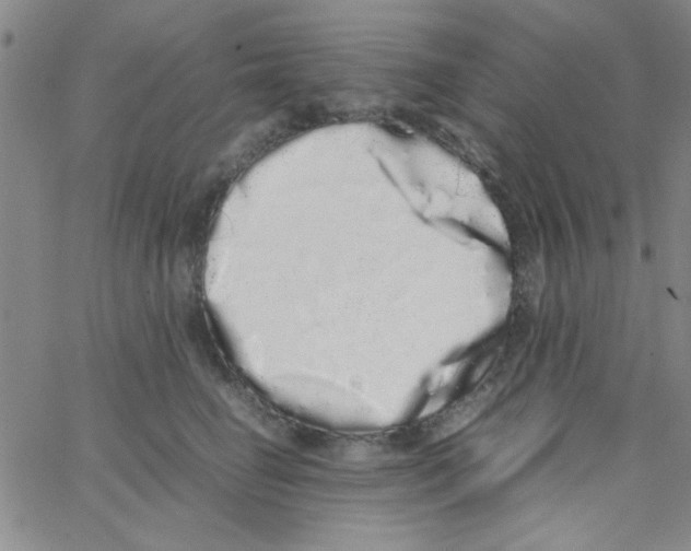 X0000062930662200602101923