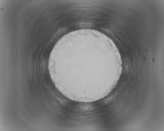 X0000062930667200602101923