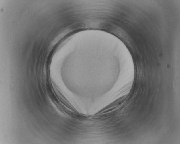 X0000062930674200602101923
