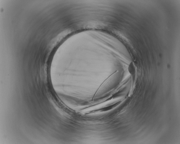 X0000062930678200602101922