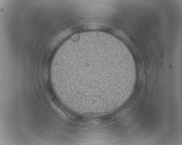 X0000062930683200602101922