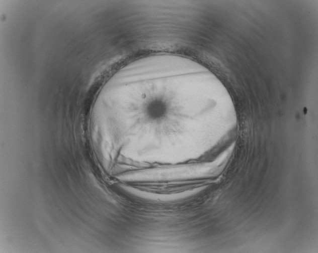 X0000062930688200602101922