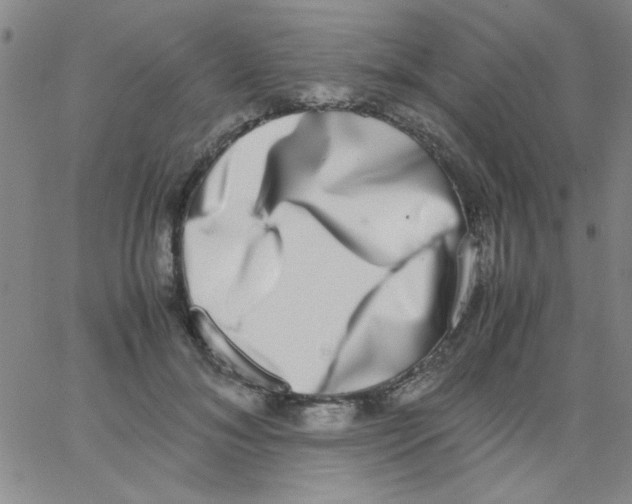 X0000062930700200602101922