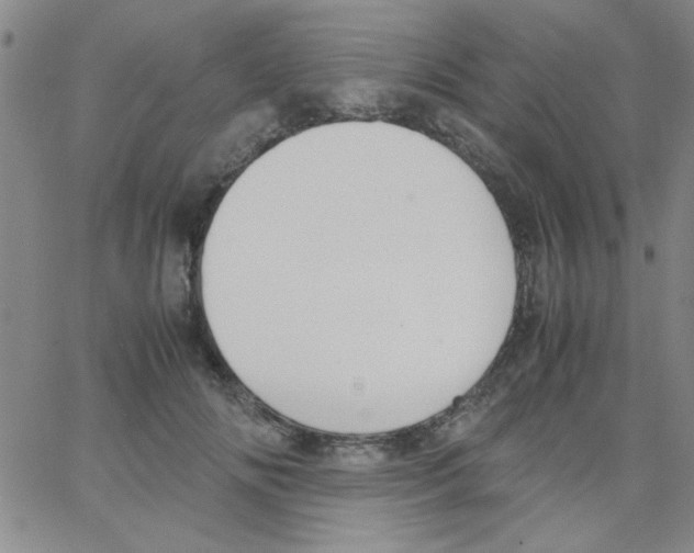 X0000062930702200602101922