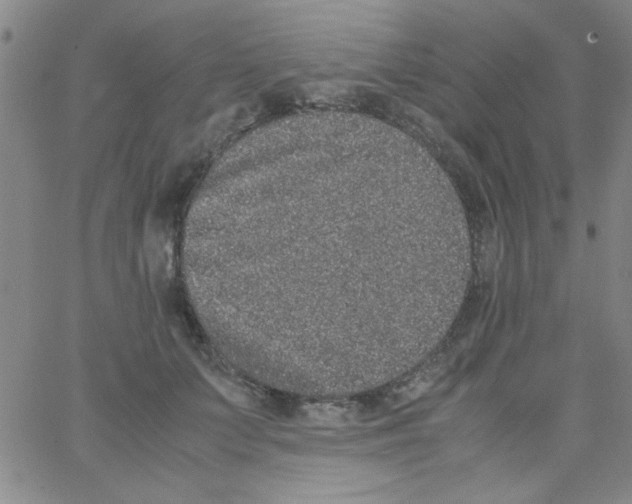 X0000062930703200602101922