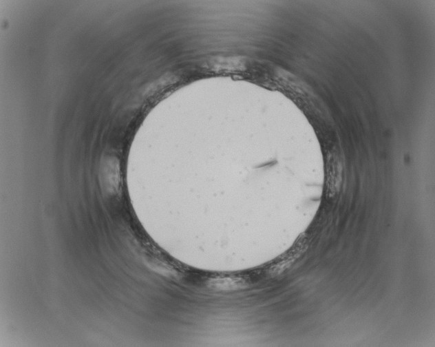 X0000062930704200602101922
