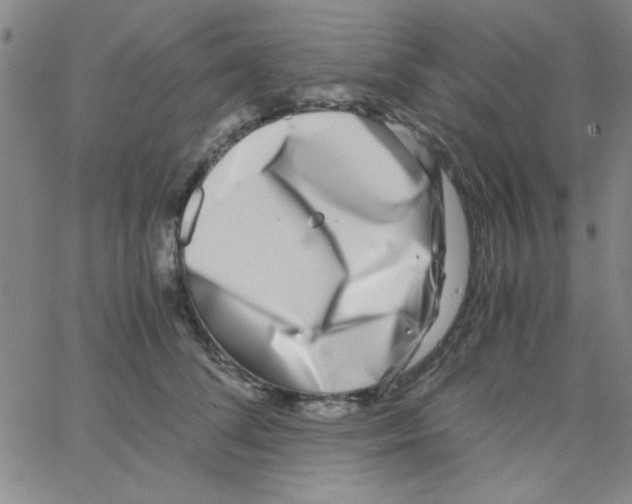 X0000062930708200602101922