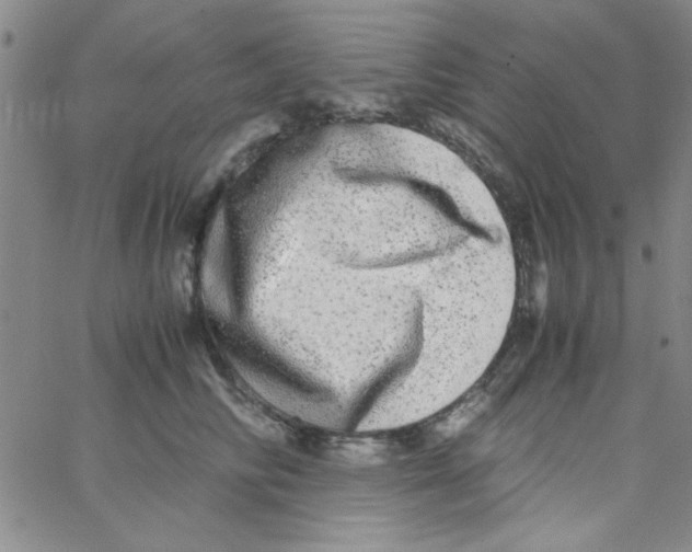 X0000062930710200602101922