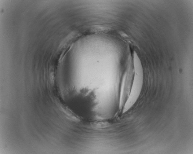 X0000062930716200602101922