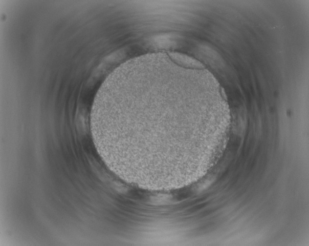 X0000062930718200602101922