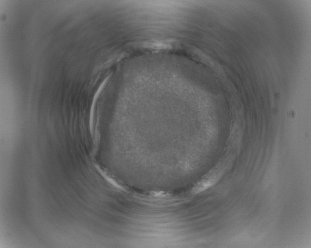 X0000062930720200602101922