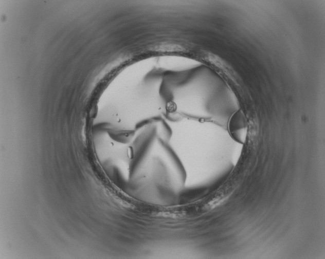 X0000062930727200602101921