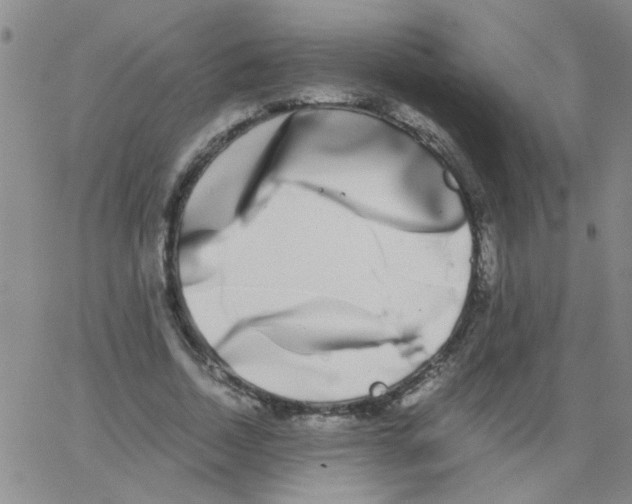 X0000062930730200602101921