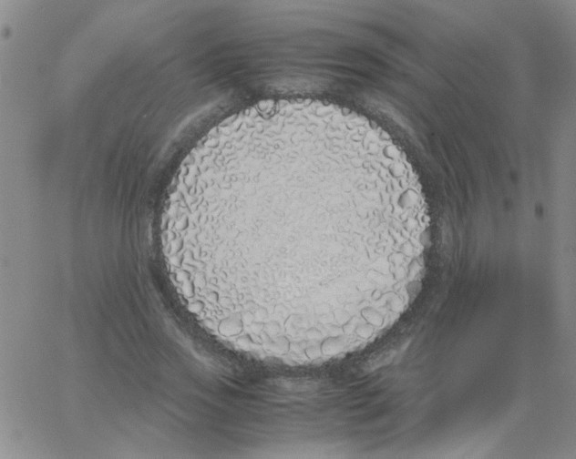 X0000062930733200602101921