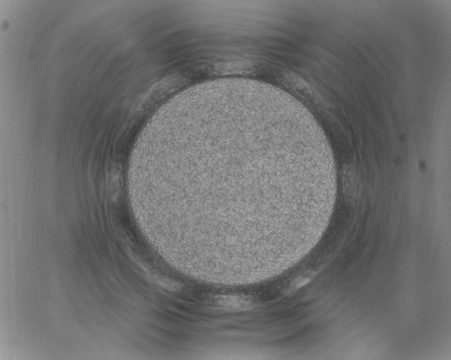 X0000062930741200602101921