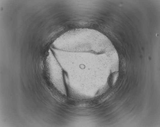 X0000062930746200602101921