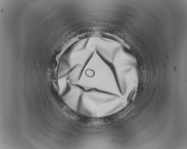 X0000062930750200602101921