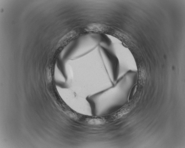 X0000062930751200602101921