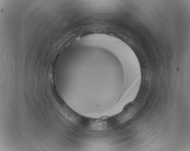 X0000062930754200602101922