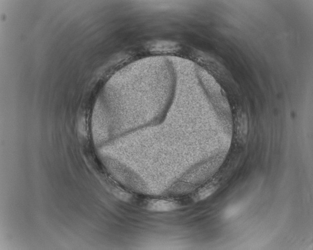 X0000062930755200602101922