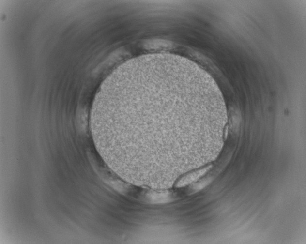 X0000062930767200602101922