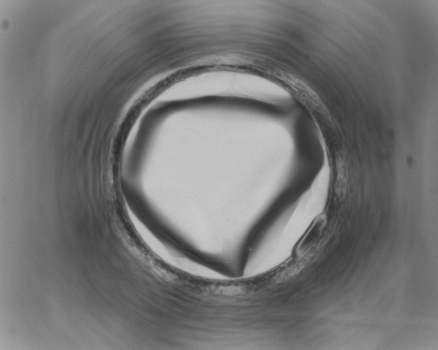 X0000062930784200602101921