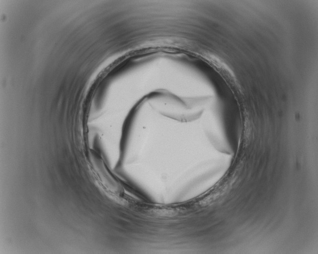 X0000062930792200602101921