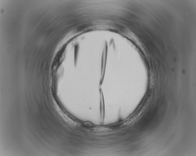 X0000062930795200602101920