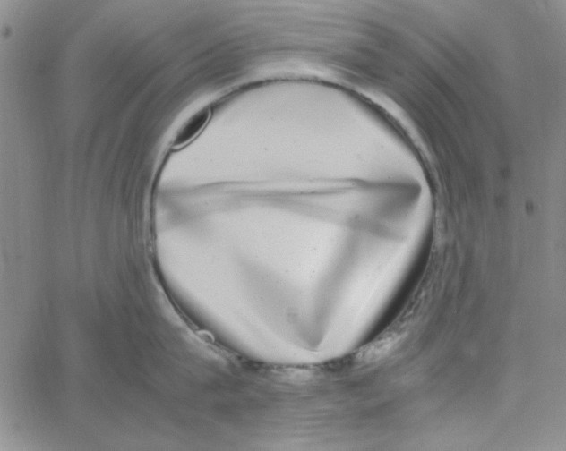 X0000062930815200602101920