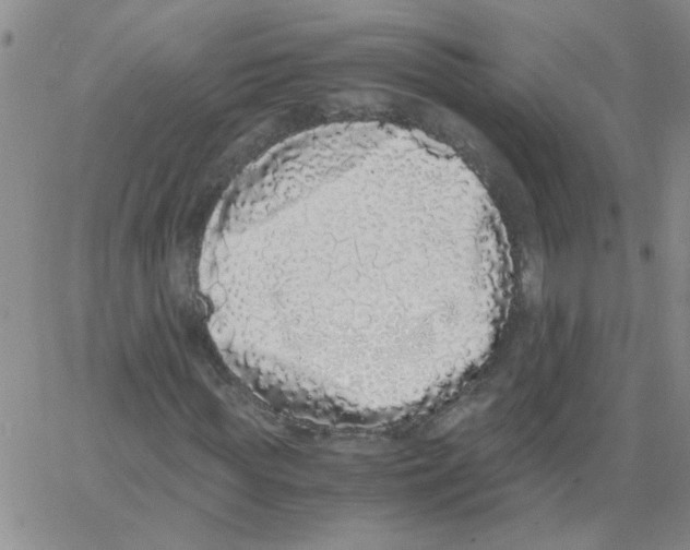 X0000062930819200602101919