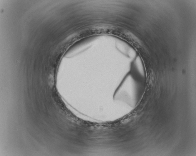 X0000062930821200602101919