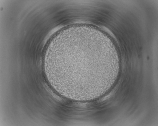 X0000062930831200602101920