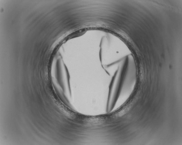 X0000062930834200602101920