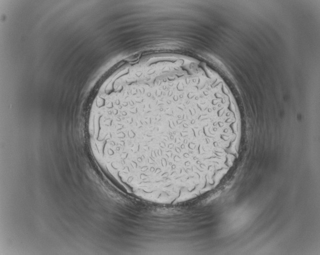 X0000062930835200602101920