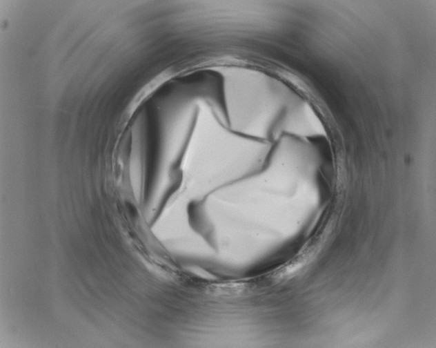 X0000062930858200602101920