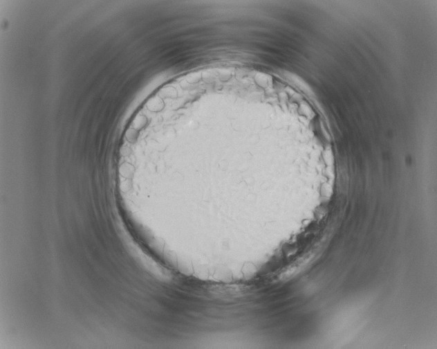 X0000062930859200602101920