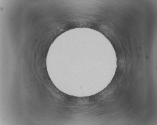 X0000062930865200602101919