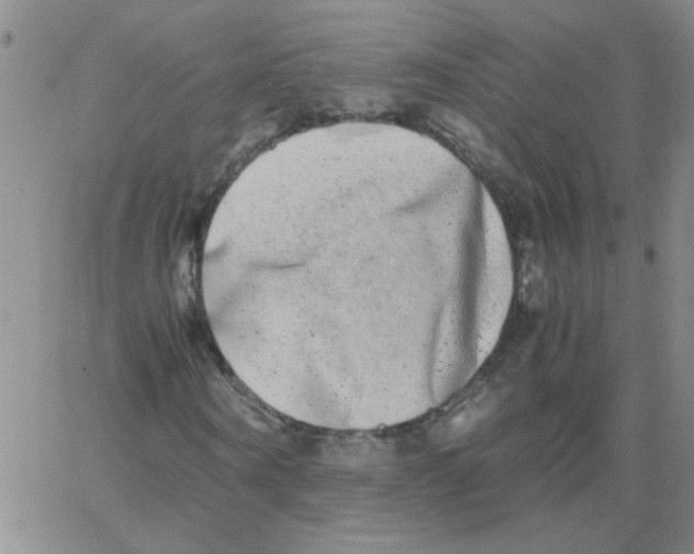 X0000062930866200602101919