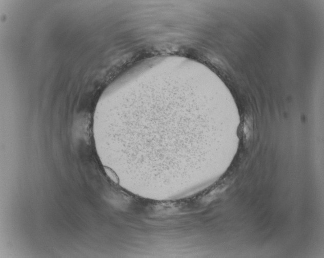 X0000062930867200602101919